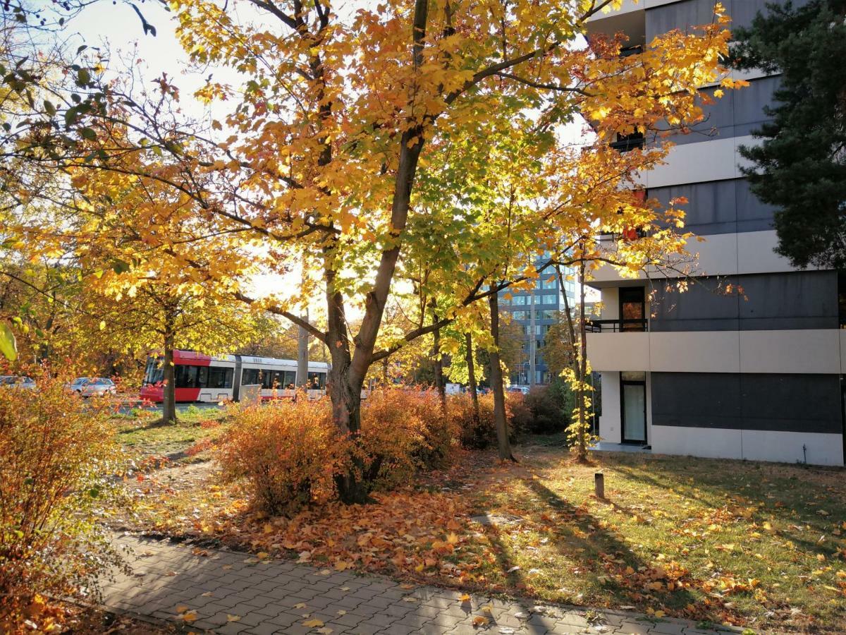 Central-Apt At Lake, Citycenter 5Min, Fair 18Min!!! 뉘른베르크 외부 사진